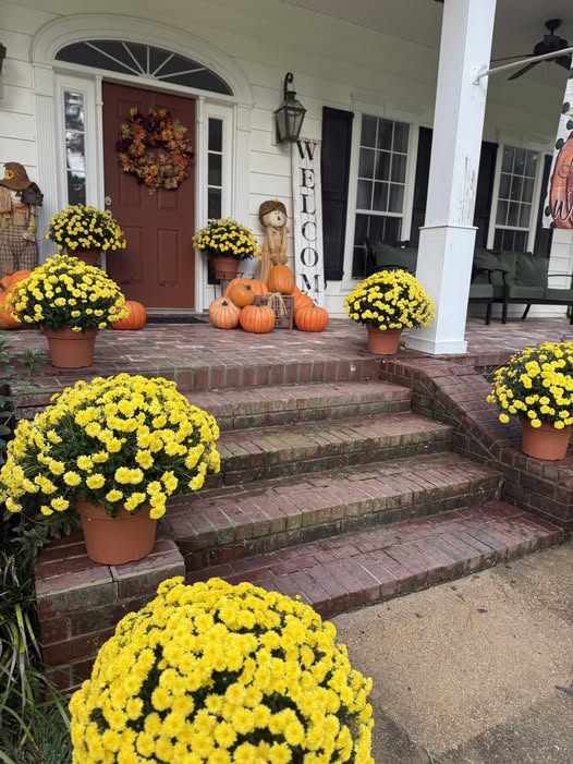 The Threshold of Kindness: Hospitality as Heartfelt Habit