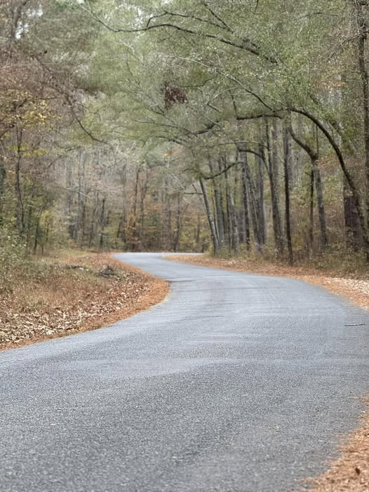 A Whispered Invitation to Trust